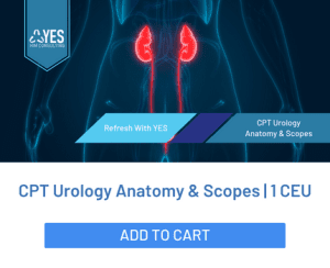 cpt code for ureteroscopy