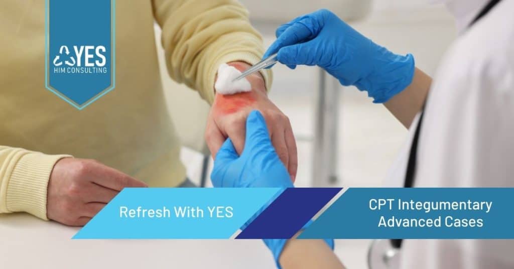 CPT integumentary procedures