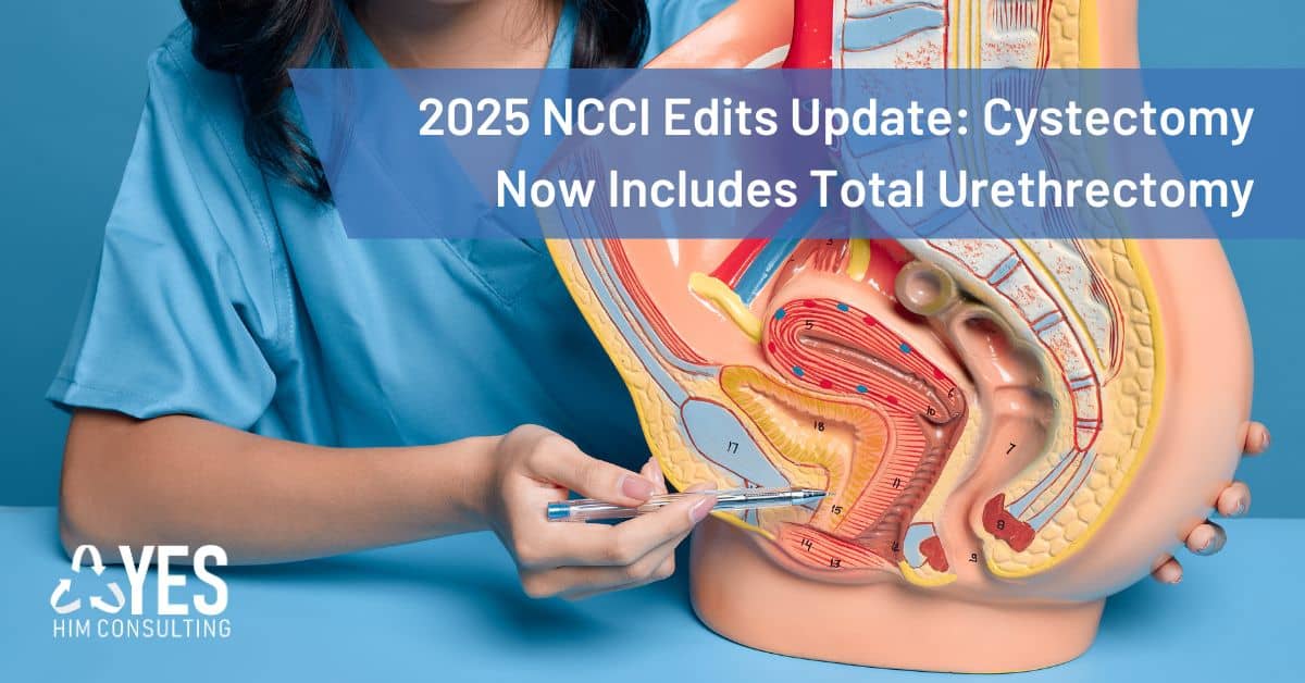 2025 NCCI guidelines